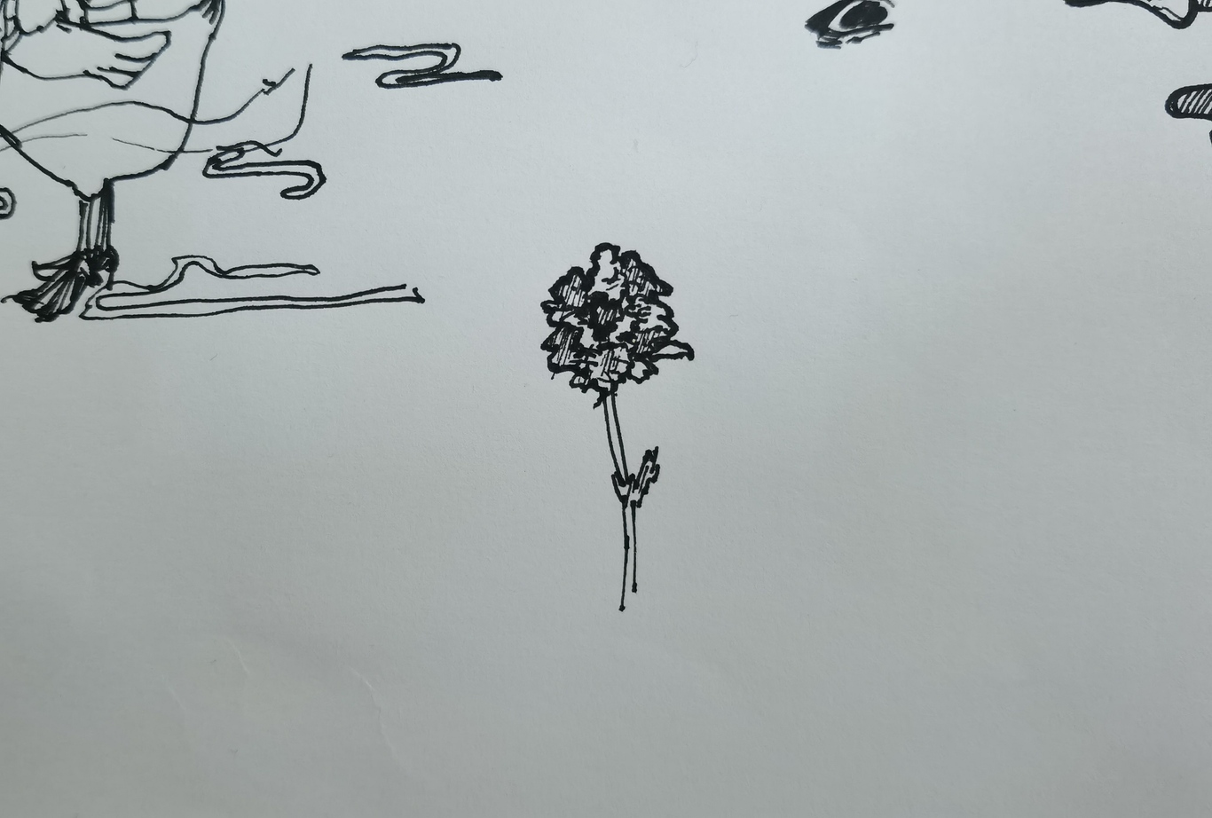 插画练习图3
