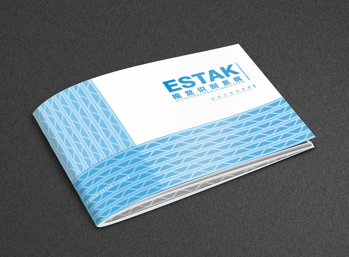 estak vi基础部分设计图0