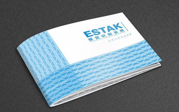 estak vi基础部分设计