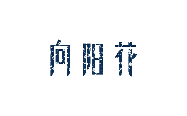 海报  banner