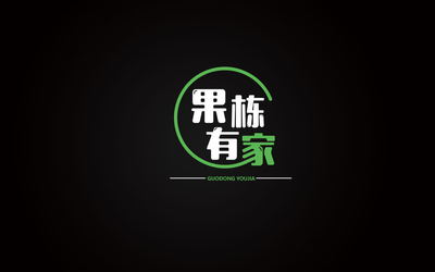 果栋有家LOGO设计提案