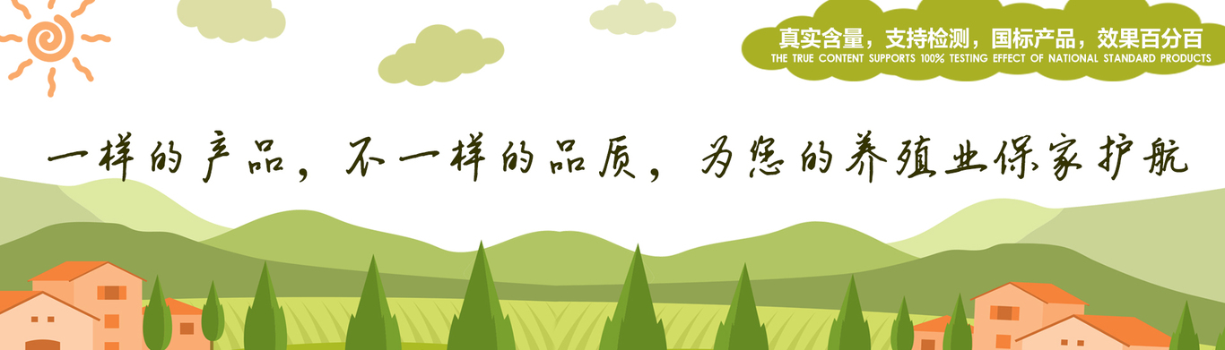 banner图1