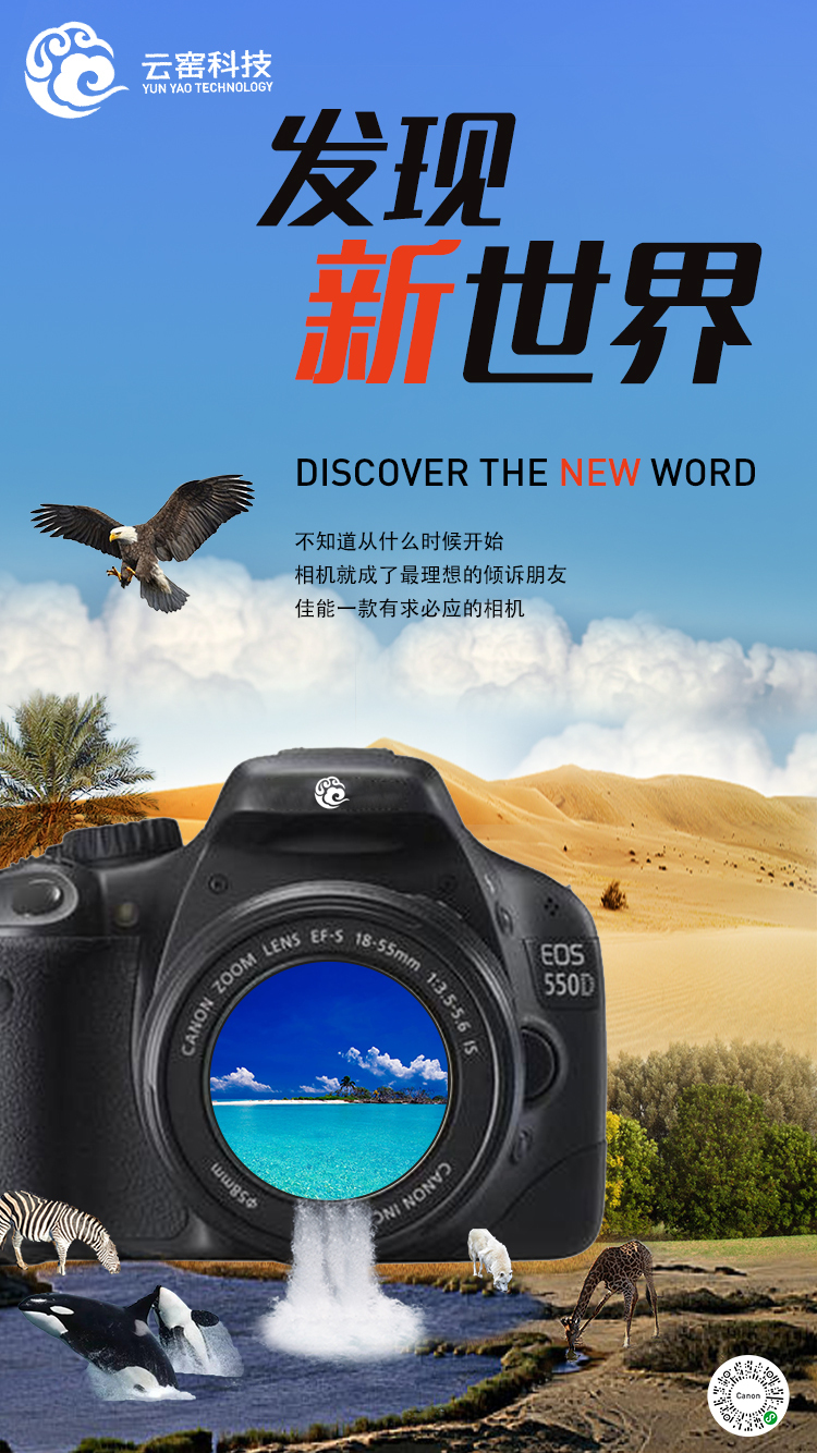 相机海报图0