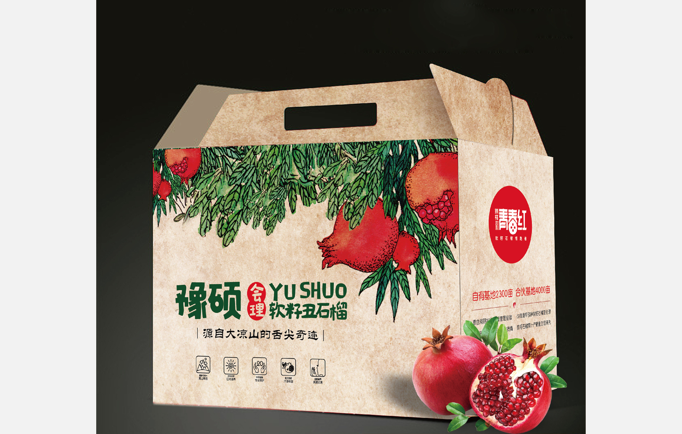 青春红软籽石榴系列产品图9