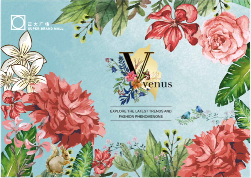 正大廣場venus品牌線下活動營銷大促圖6