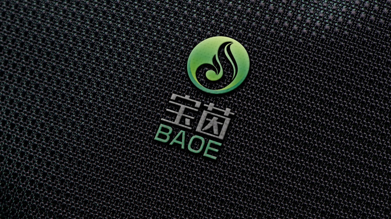 寶茵綜合型企業(yè)LOGO設(shè)計中標(biāo)圖12