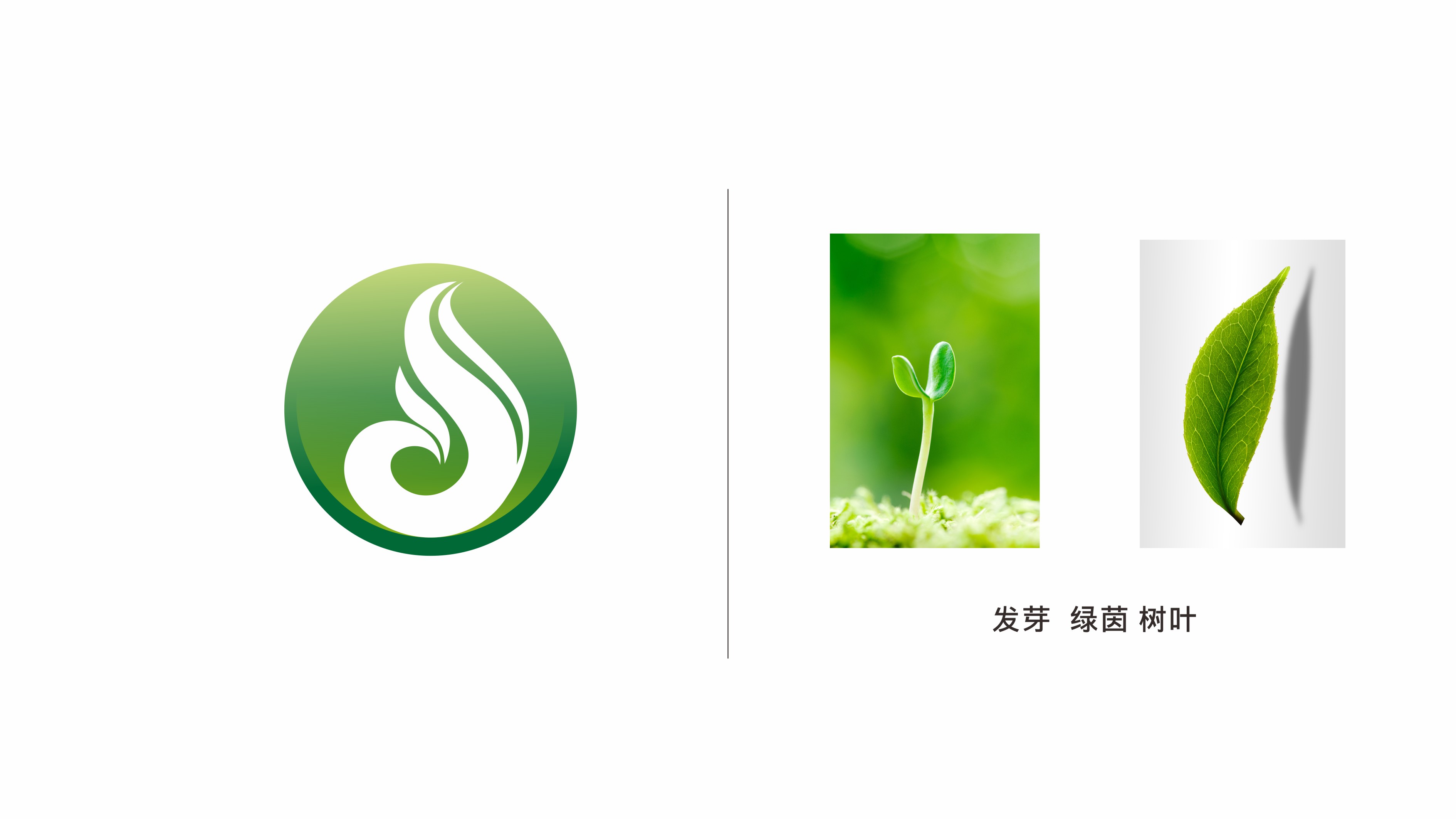 寶茵綜合型企業(yè)LOGO設(shè)計(jì)中標(biāo)圖5