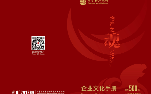 山東能源集團權(quán)屬棗礦物產(chǎn)企業(yè)宣傳冊設(shè)計