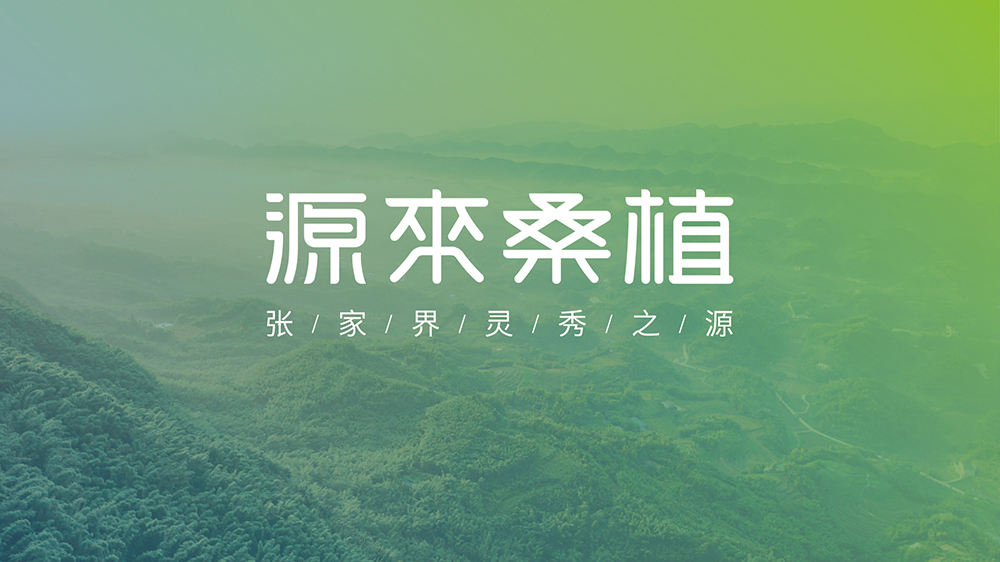 张家界桑植县-源来桑植区域公用品牌设计图5