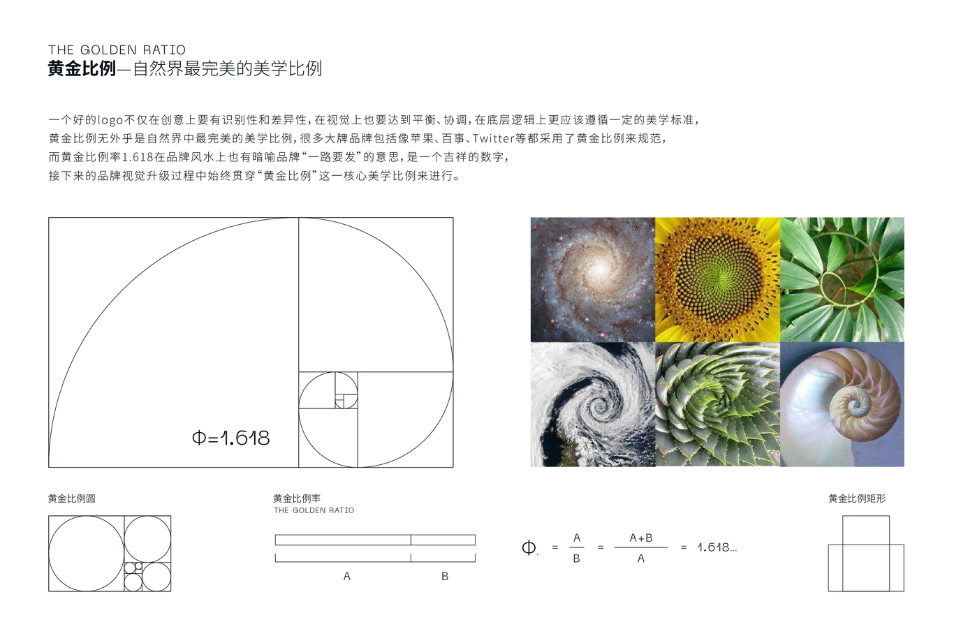 《小王子》品牌升级方案图15