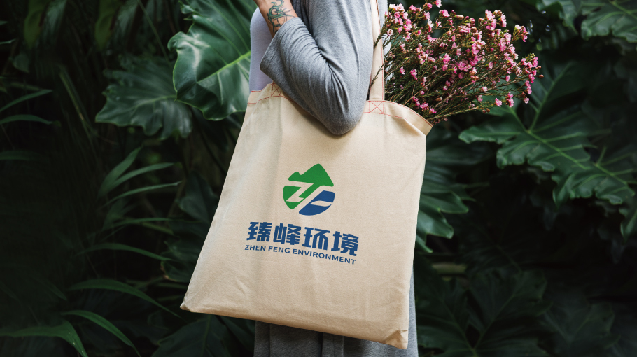 臻峰环境科技品牌LOGO设计中标图7