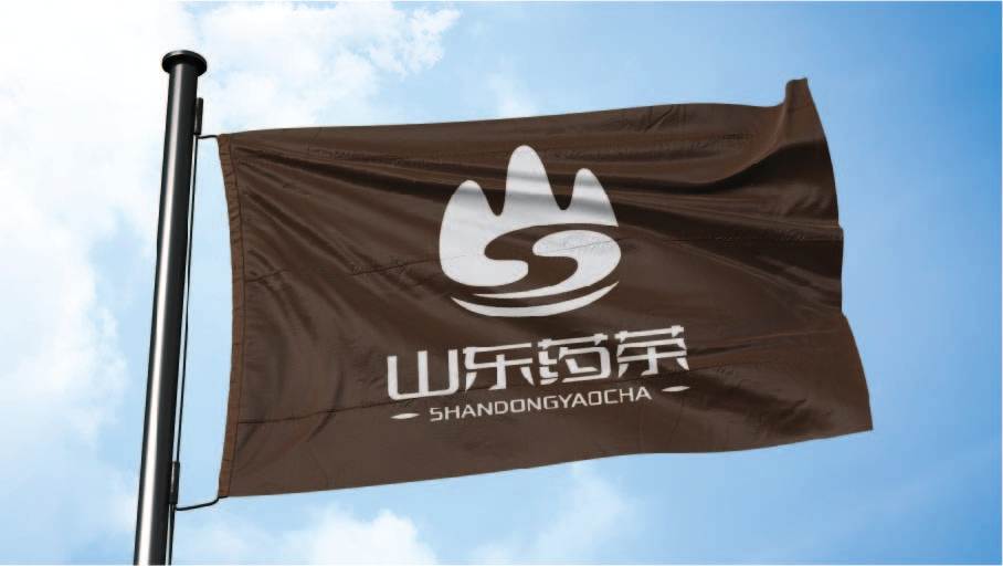 山东药茶中医药LOGO设计中标图6