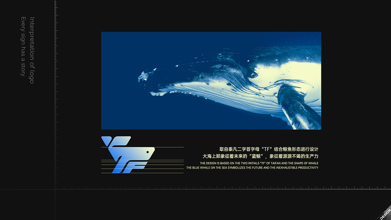 Tafan Logo设计图4