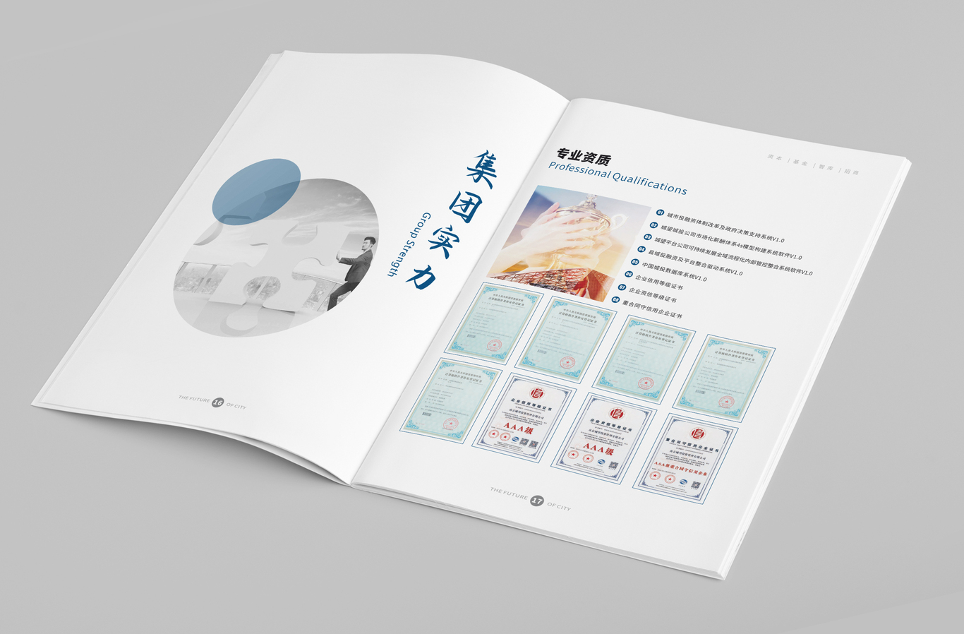 城望控股集團(tuán)畫冊圖9