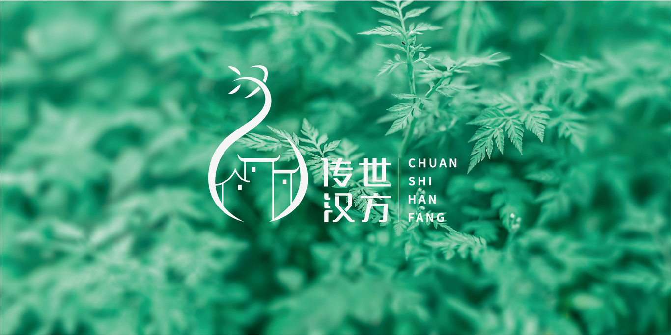 传世汉方 LOGO 设计图13