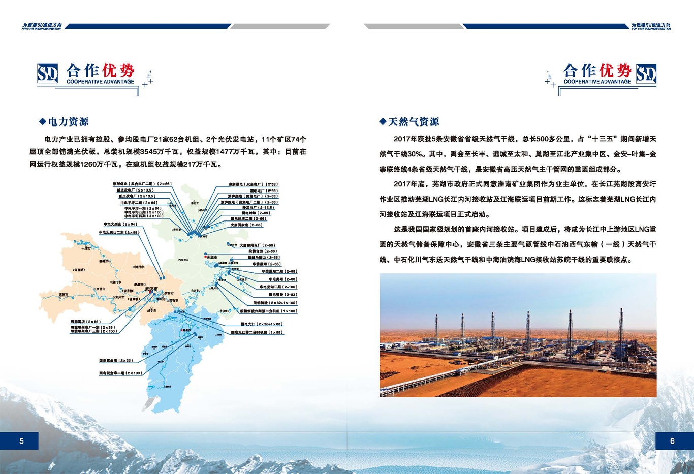 企业简介招商画册图2