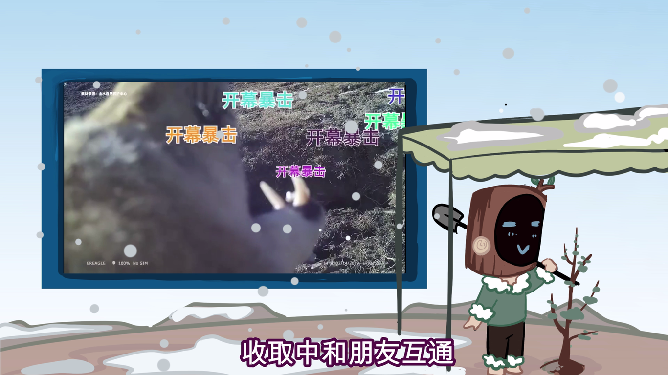 阿里巴巴螞蟻森林樹(shù)洞君項目圖2