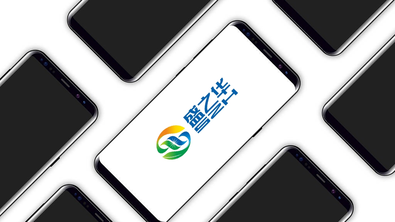 盛之華建筑工程LOGO設(shè)計(jì)中標(biāo)圖7