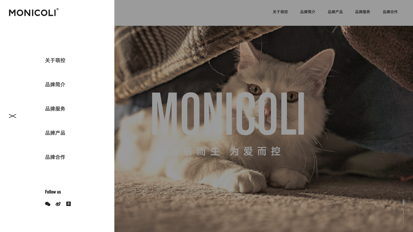 MONICOLI宠物品牌官网图6