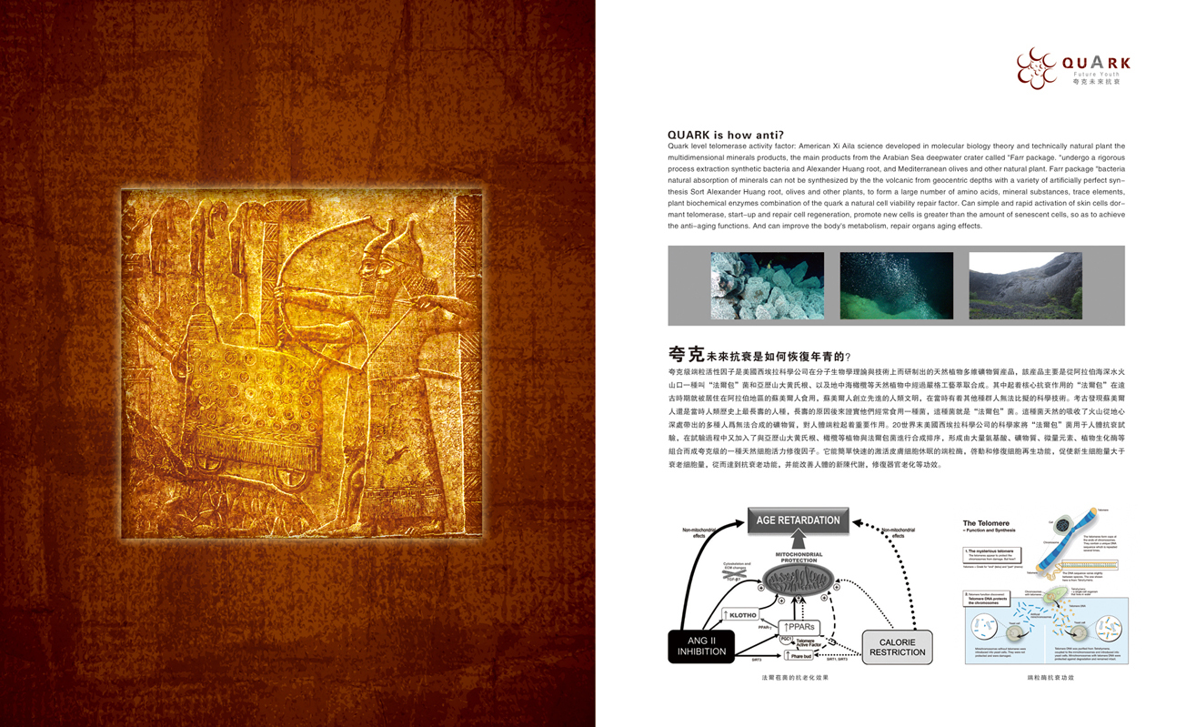 北京夸克醫(yī)療畫(huà)冊(cè)設(shè)計(jì)圖9