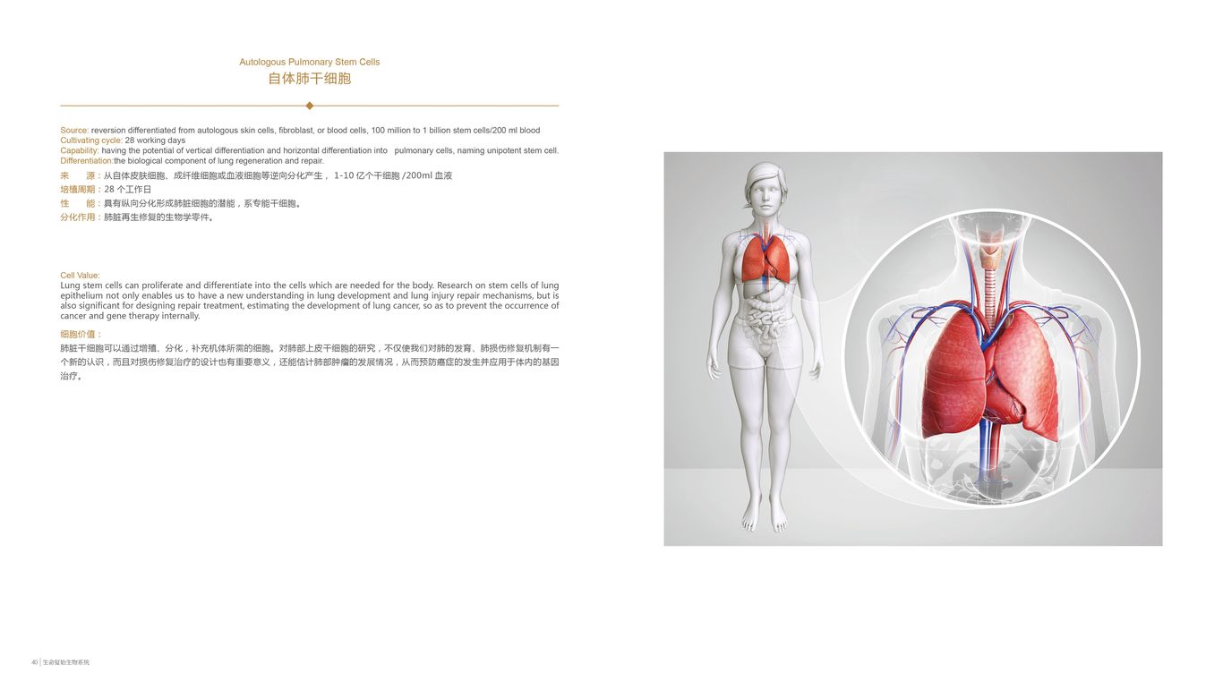 北京夸克生命復(fù)始畫冊設(shè)計(jì)圖19