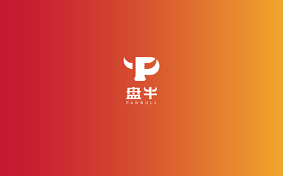 盤(pán)牛LOGO設(shè)計(jì)飛機(jī)稿