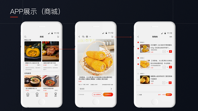 作品集图2