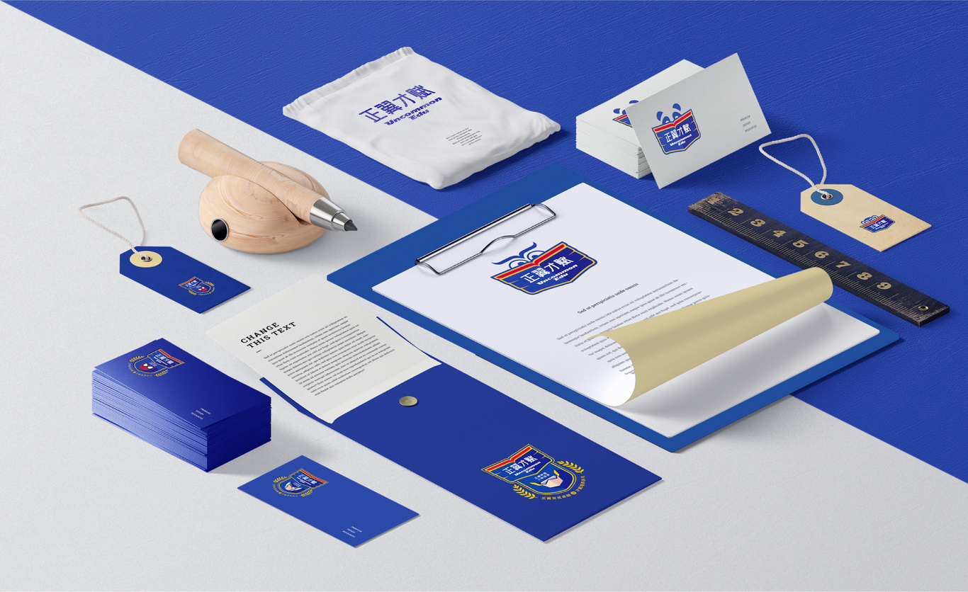 正翼·才賦培訓學校LOGO&VI設計圖12