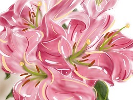 手绘插画图0