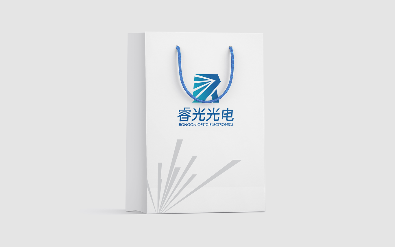 睿光光電高科技產品的logo標志vi設計圖11