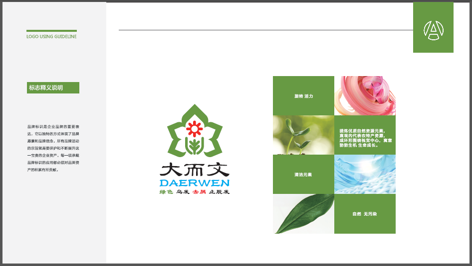 大而文洗发水LOGO设计中标图1