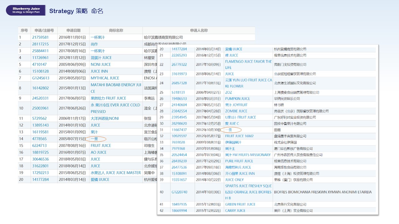 一罐果汁-瓶型瓶貼包裝設(shè)計(jì)圖17