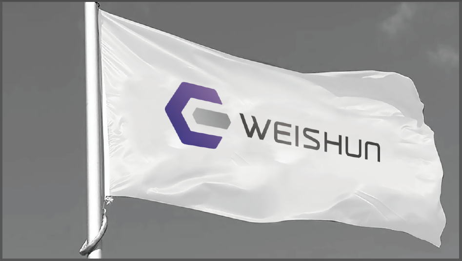 WEISHUN材料科技LOGO设计中标图5