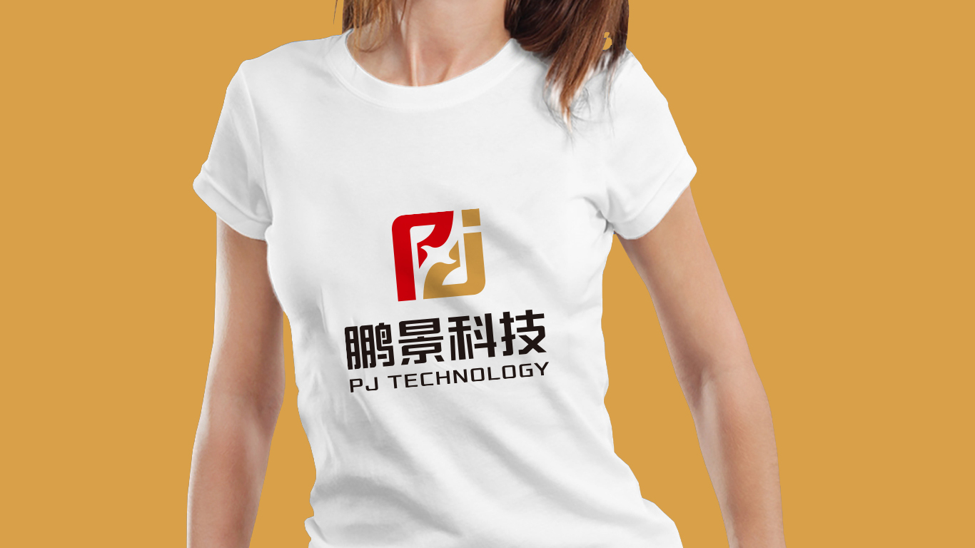 鵬景科技資產(chǎn)管理品牌LOGO設計中標圖5