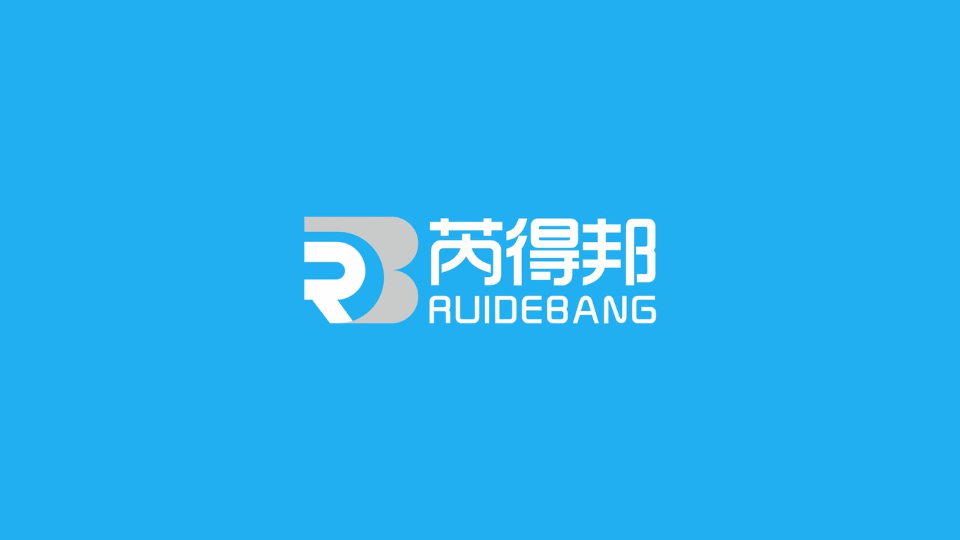 芮得邦医药科技品牌LOGO设计中标图0