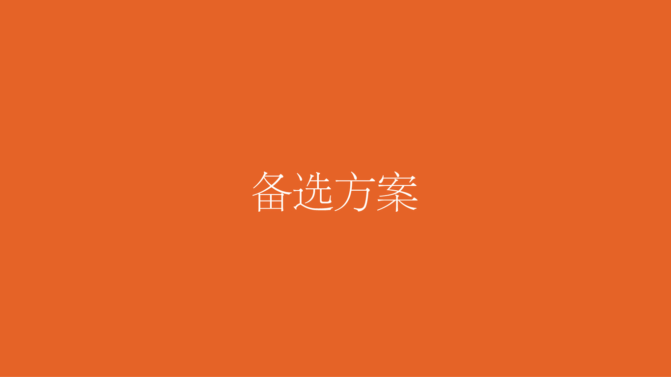 【富康集團?富康萬峰人家】地產(chǎn)品牌logo設(shè)計圖12