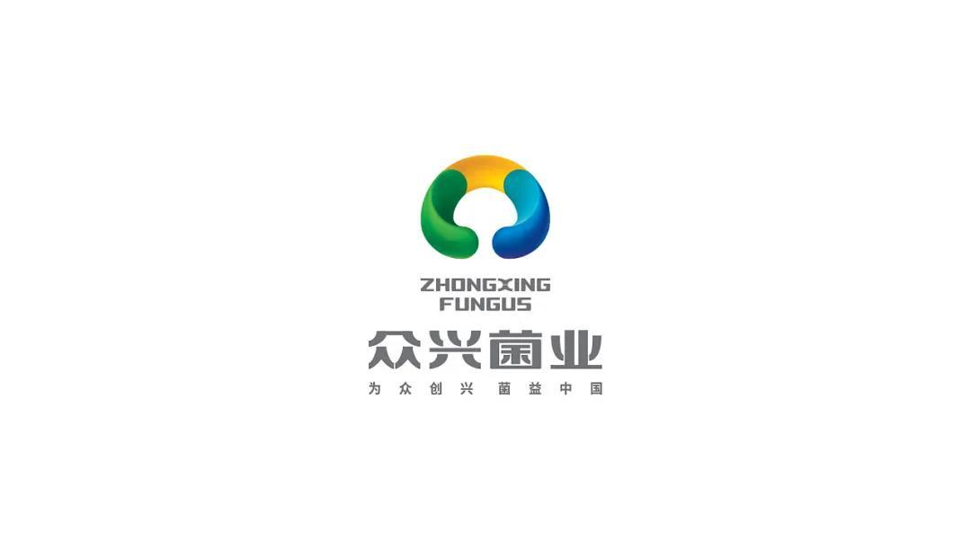 整理已久的企業(yè)LOGO/VI全案設(shè)計(jì)部分精選案例1系列圖0