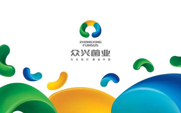 整理已久的企業(yè)LOGO/VI全案設(shè)計部分精選案例1系列