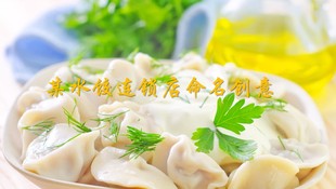 水饺连锁店命名创意