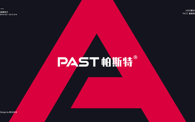 帕斯特科技公司logo