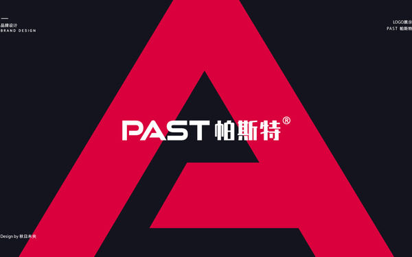 帕斯特科技公司logo