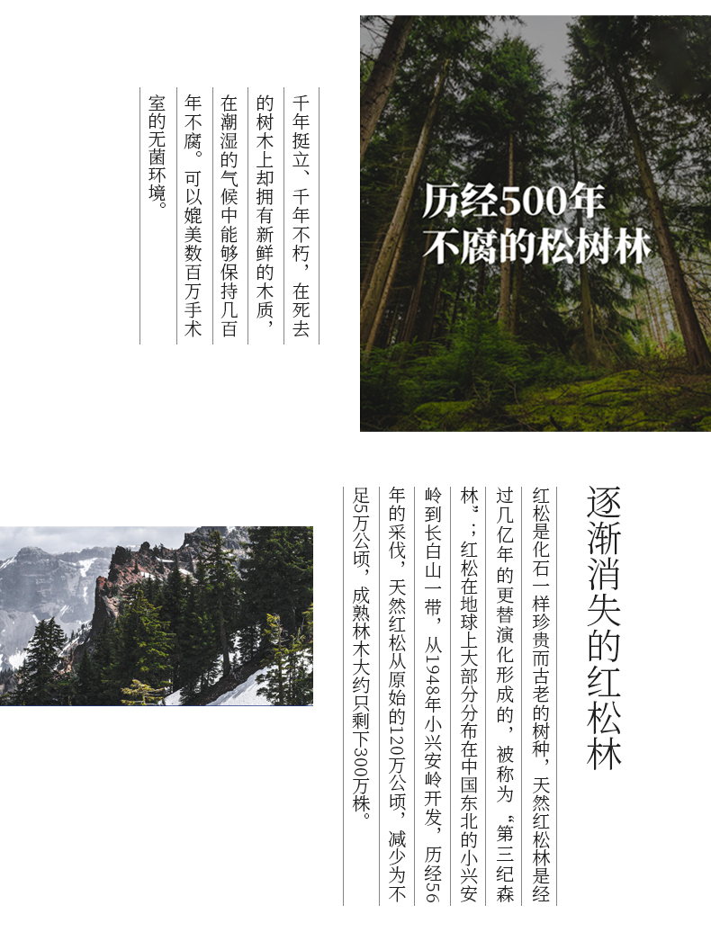 各类详情图12