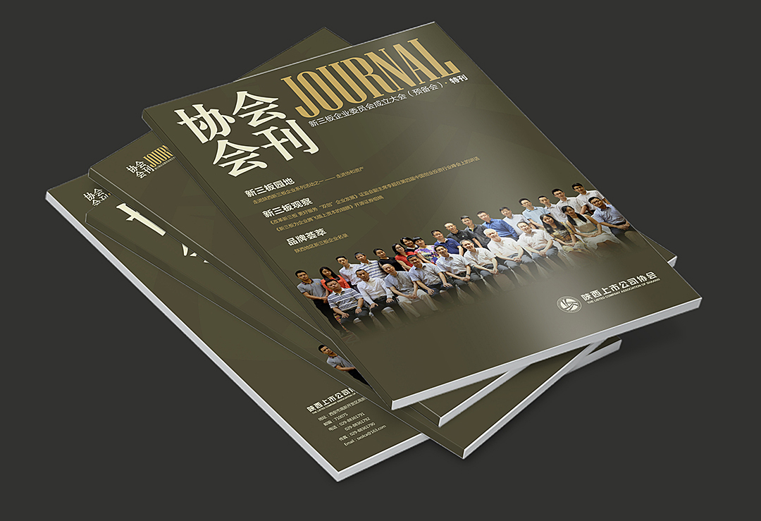 陜西某協(xié)會(huì)會(huì)刊圖0