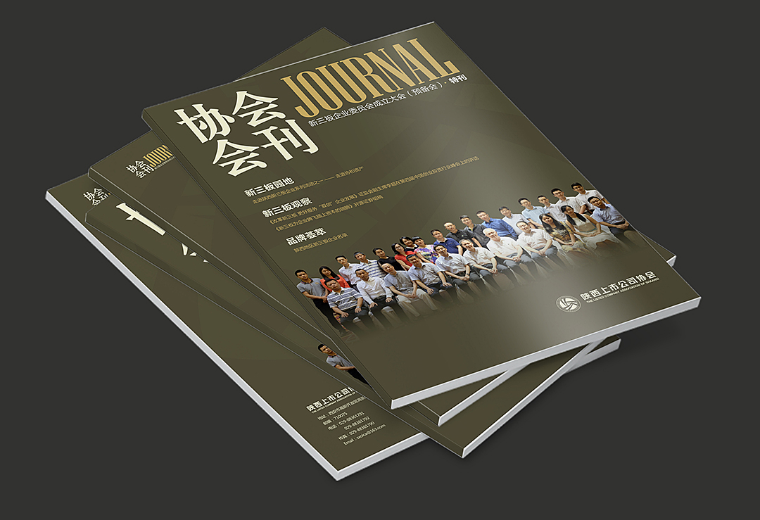 陜西某協(xié)會會刊