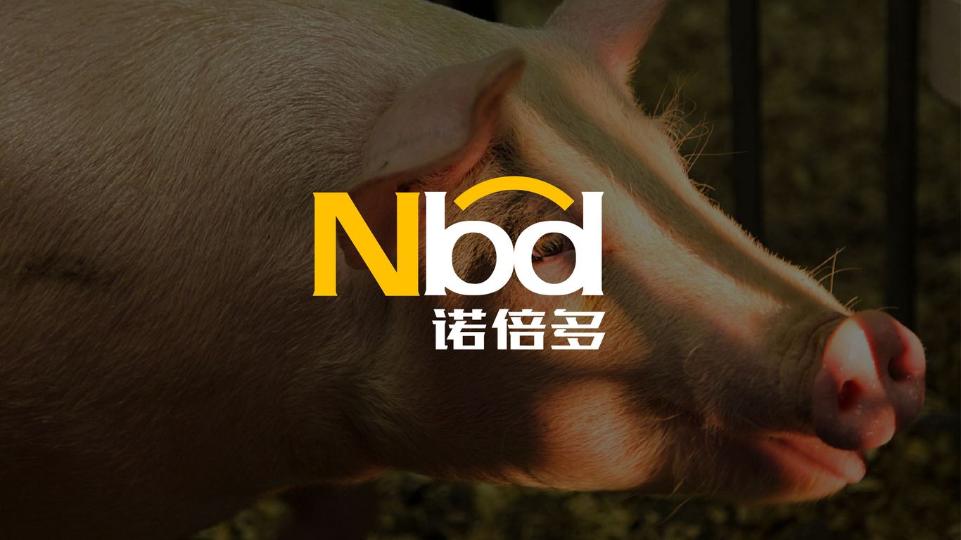 NBD諾倍多農(nóng)牧業(yè)LOGO設(shè)計(jì)圖2