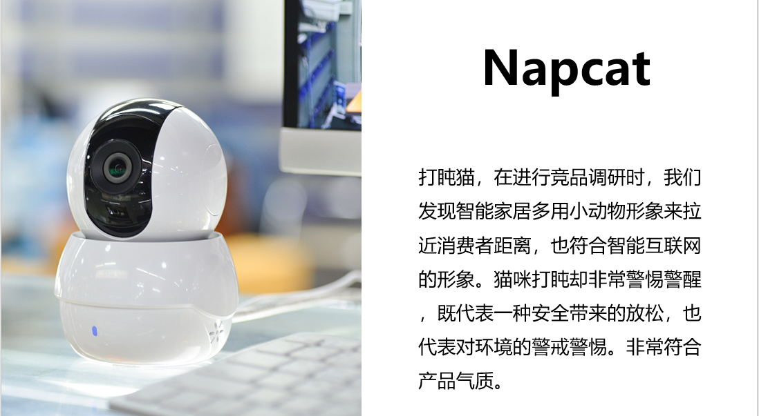 Napcat科技摄像头类英文命名