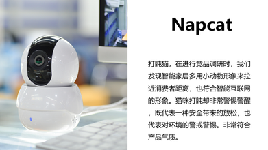 Napcat科技攝像頭類(lèi)英文命名