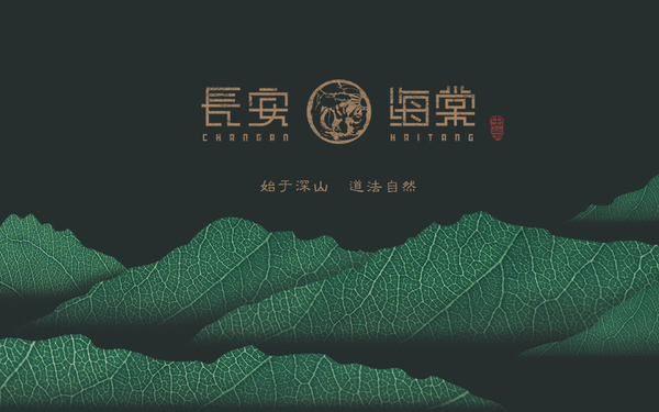 邵阳城步长安海棠（高端虫茶）--品牌升级画册包装