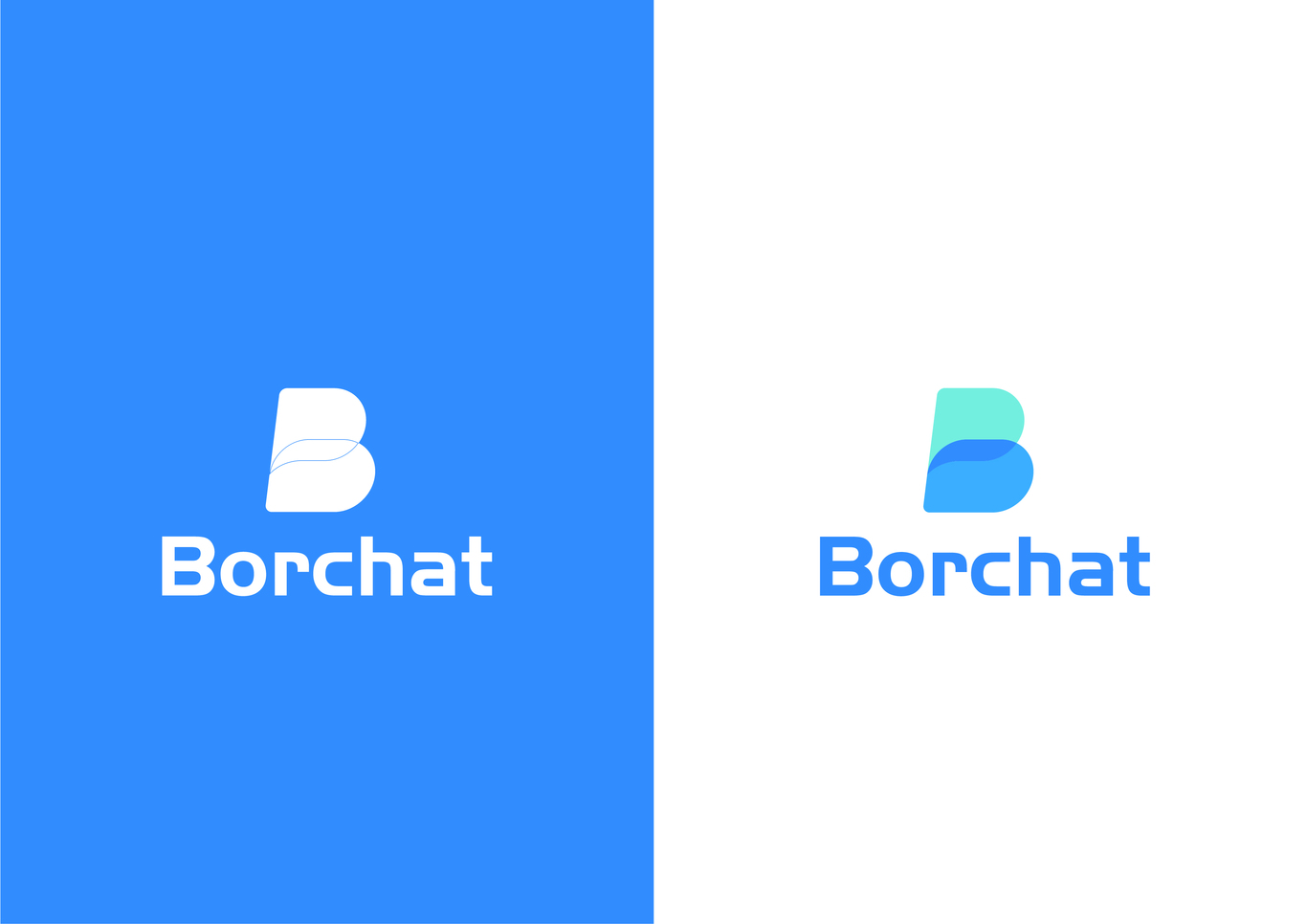 Borchat北京博创安泰科技有限公司LOGO图1