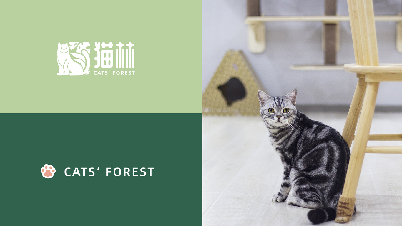 猫林咖啡logo设计方案图6